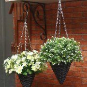 属龙爱情里的雷区是什么