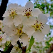 属龙人遇见碰瓷的会怎样解决