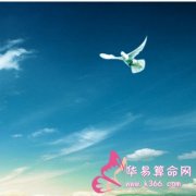 属龙的效率怎么样