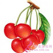 属龙的人把什么放在首位？