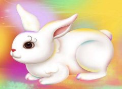 属兔辰时出生五行属什么？辰时出生的生肖兔命运怎么样？