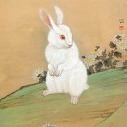 属兔的人2019年运程，2019属兔人全年运势