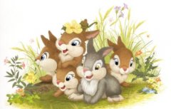 宋韶光2019年属兔运势完整版