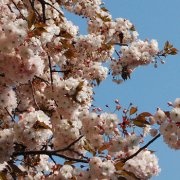 属兔人会如何应对职场冷遇