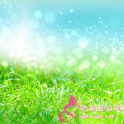 鼠兔人让人感到厌恶的坏习惯