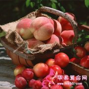 属兔的人最喜欢念叨的事情是什么