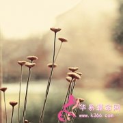 属兔的人让人最反感的是什么