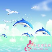 属兔的效率怎么样