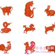 属兔的人格能从什么花中看出来