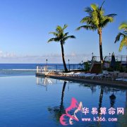 属兔的人有哪些优点和缺点？