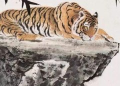 属虎巳时出生是什么虎？生肖虎的命理分析大全