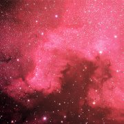 属虎看恐怖片会是什么反应