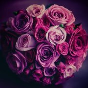 属虎的性格特点有哪些