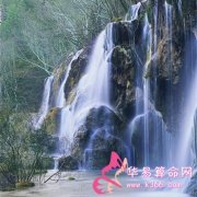 属虎人生气后有什么样的后果