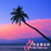 属虎的人有哪些优点和缺点？