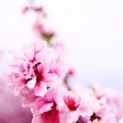 属牛男人有什么缺点