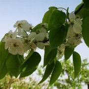 属牛人的爱豆被羞辱会有什么反应