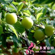 属牛的人最喜欢念叨的事情是什么