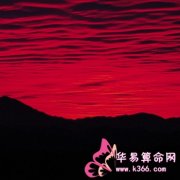 属牛的人最致命的缺点是什么