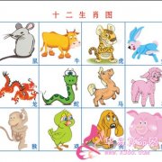 属牛的人格能从什么花中看出来