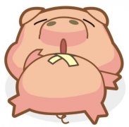 风水猪的摆放位置有什么讲究？风水猪如何摆放？