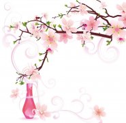  2019年2月3号出生的双胞胎男孩如何起名，五行属什么