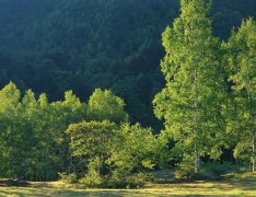 2019年4月5日出生的双胞胎女孩怎么样起名字