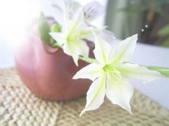  2019年2月21号出生的双胞胎男孩如何起名，五行属什么