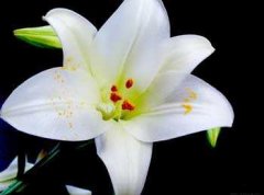  2019年3月5号出生的双胞胎男孩如何起名，五行属什么