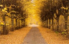  2019年3月27号出生的双胞胎男孩如何起名，五行属什么