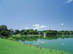 2019年8月出生的双胞胎男孩起什么名字