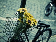 你意想不到的男生起名九大锦囊妙计！