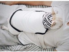 最新好听的男孩名字