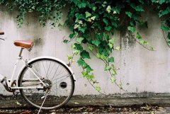 最新男孩取名与特征及名字分析