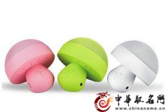 公司起名大全 公司名字注册大全