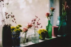 姓白的男孩名字大全 白姓男孩起名