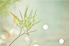 姓谭的男孩名字大全 谭姓男孩起名