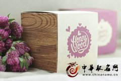 公司取名策划 公司取名最权威原则