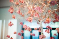 姓端木的男孩名字大全 端木姓男孩起名