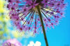 姓欧阳的男孩名字大全 欧阳姓男孩起名