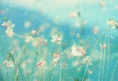 姓哈的男孩名字大全 哈姓男孩起名