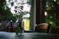 2017姓昌的男孩名字大全 属鸡昌姓男宝宝起名