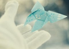 2017姓贺的男孩名字大全 属鸡贺姓男宝宝起名