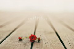 2017年姓云的男孩名字大全 属鸡云姓男宝宝起名