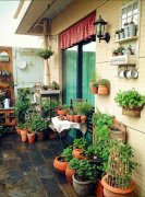 2017姓凤的男孩名字大全 属鸡凤姓男宝宝起名