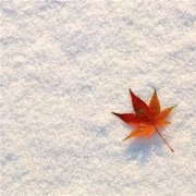 2017姓毛的男孩名字大全 属鸡毛姓男宝宝起名