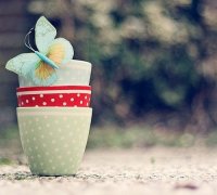 2017姓戴的男孩名字大全 属鸡戴姓男宝宝起名