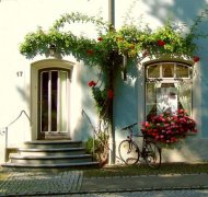 2017姓麻的男孩名字大全 属鸡麻姓男宝宝起名