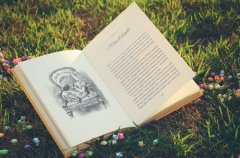 好听洋气葡萄酒公司名字大全 洋气时尚葡萄酒公司起名