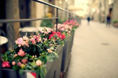 2017姓白的男孩名字大全 属鸡白姓男宝宝起名